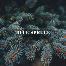 Load image into Gallery viewer, Blue Spruce
