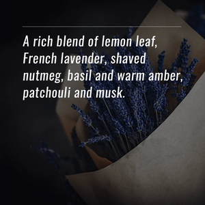 AMBRE LAVENDER