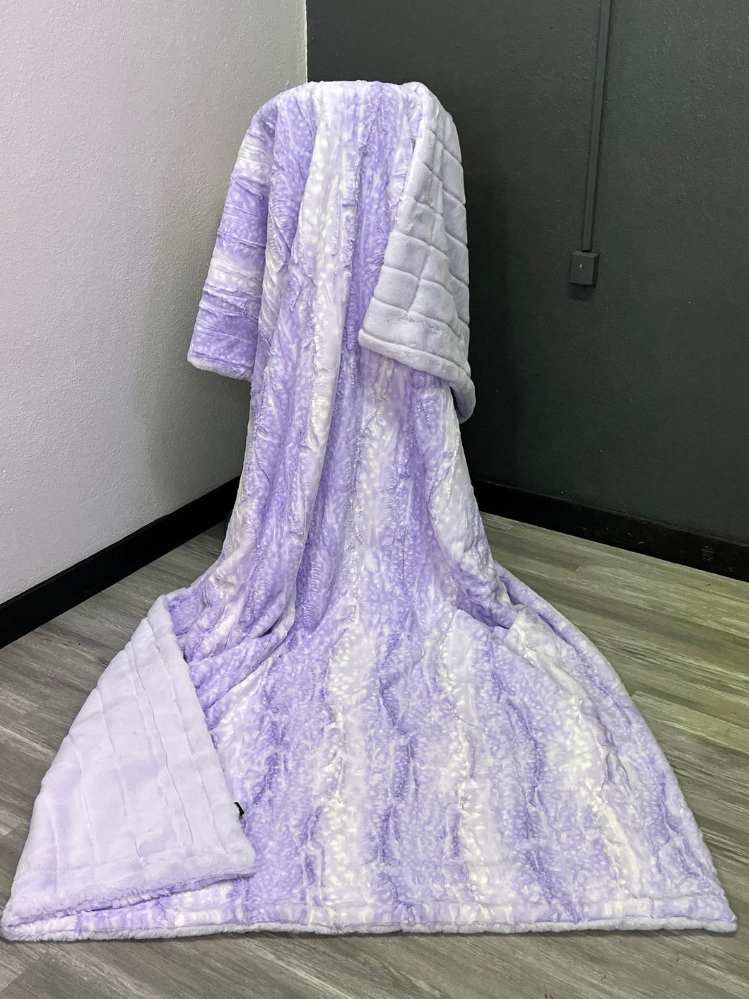Lavender Fawn on Twinkle Sydney