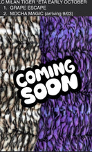 Load image into Gallery viewer, Milan Tiger Pre Order

